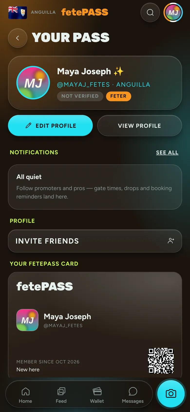 Your pass: your name, your handle and your island.